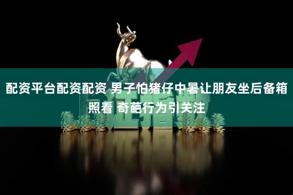 配资平台配资配资 男子怕猪仔中暑让朋友坐后备箱照看 奇葩行为引关注