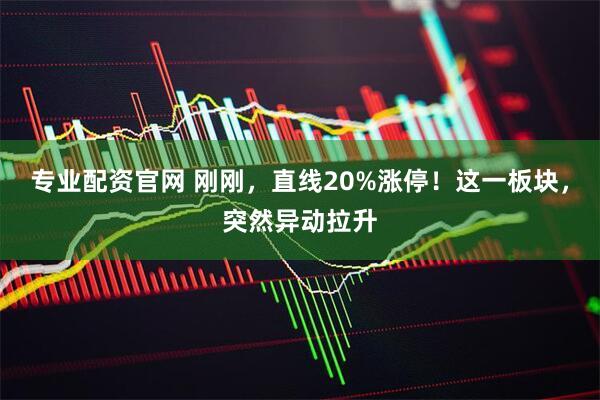 专业配资官网 刚刚，直线20%涨停！这一板块，突然异动拉升